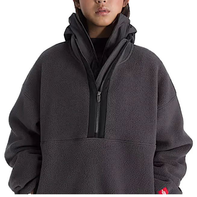 TNF RED BOX 1/2 ZIP FLEECE OBSIDIAN - Image 2
